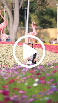 BIB:  <button type="button" onclick="openModal(27588516)" class="btn btn-primary btn-sm float-right" data-toggle="modal" data-target=".modal-high-quality">
                <i class="fa fa-download"></i> Download
                </button>